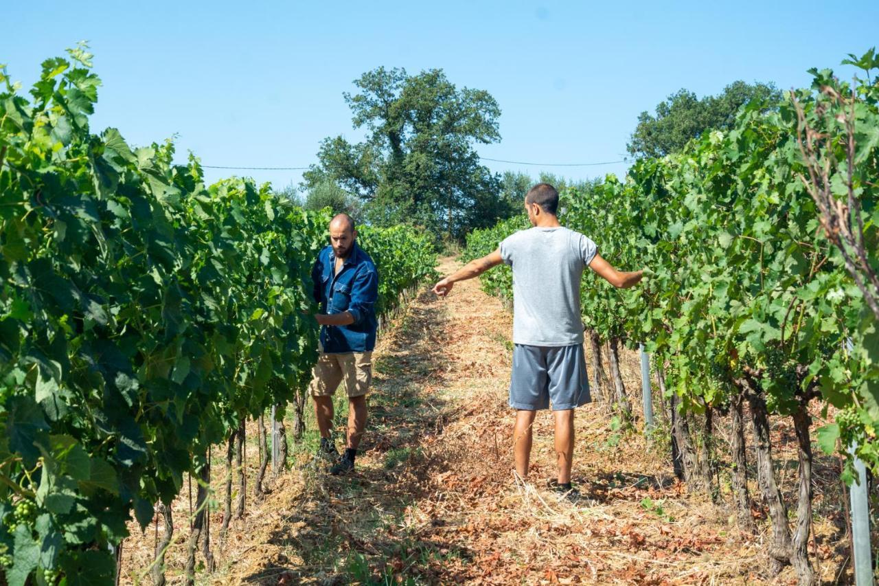 Agriturismo Colle Vento Суверето Екстериор снимка