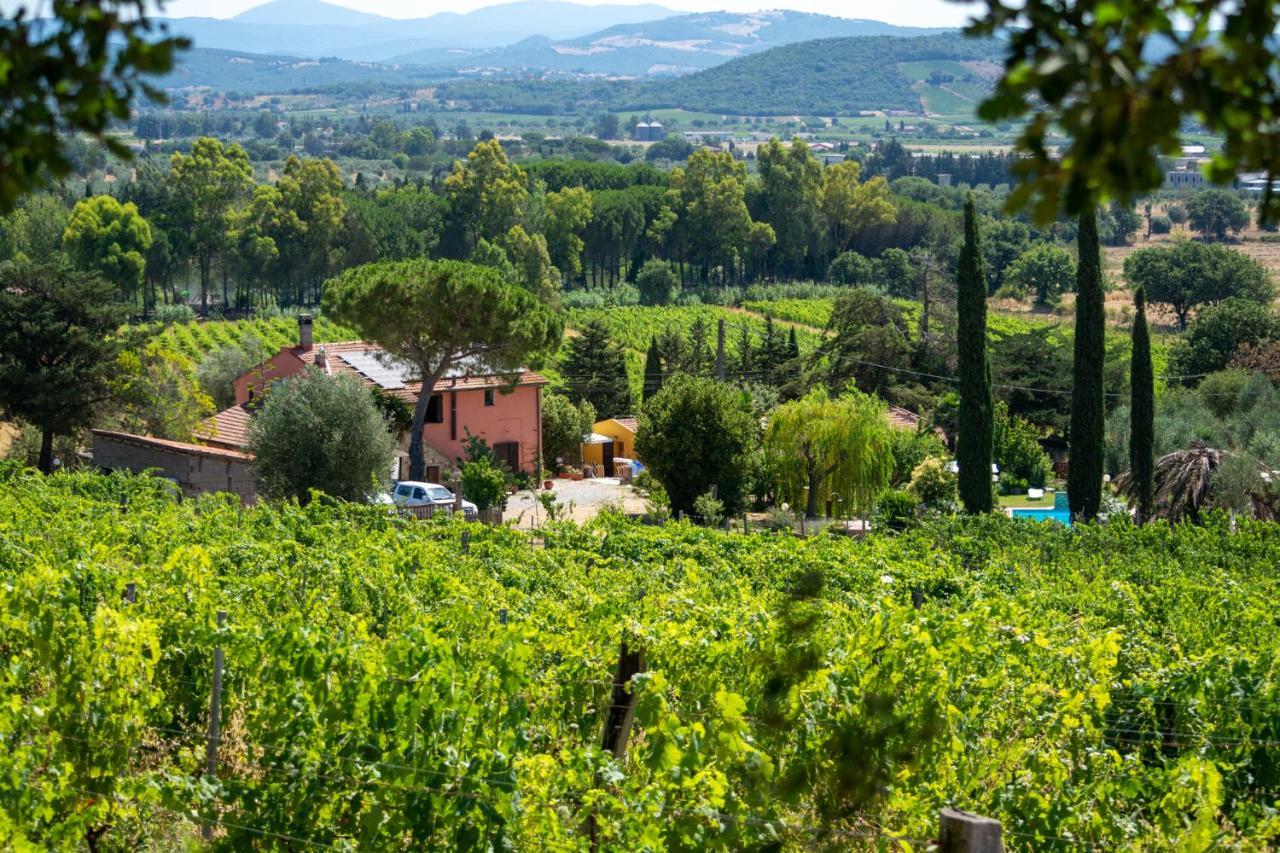 Agriturismo Colle Vento Суверето Екстериор снимка