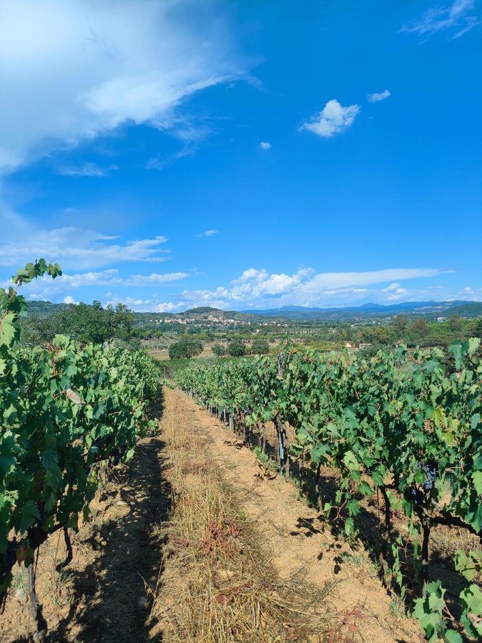 Agriturismo Colle Vento Суверето Екстериор снимка