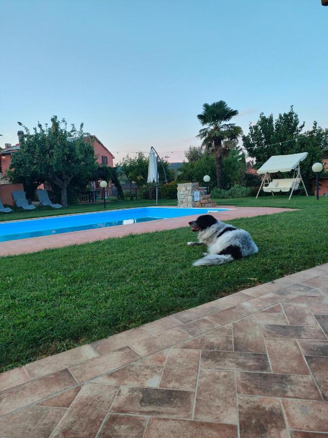 Agriturismo Colle Vento Суверето Екстериор снимка